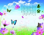 二十四节气  春分  蝴蝶