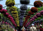 花卉展览