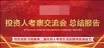 总结报告 交流会报告 公司报告