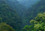 山谷