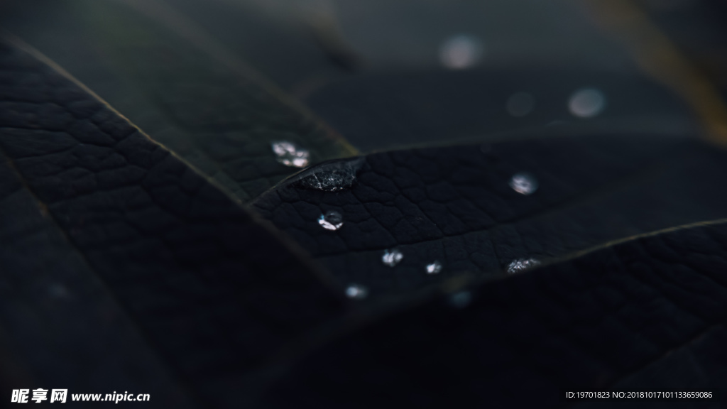 桌面