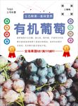 葡萄海报