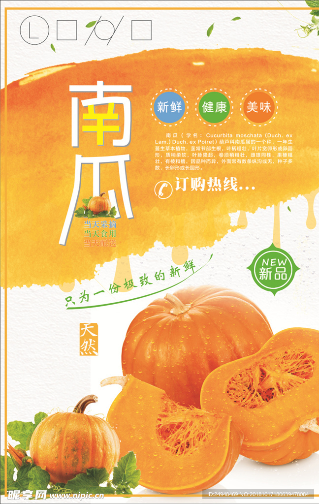 南瓜海报
