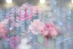 梦幻  光晕 光斑 唯美