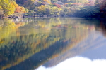湖畔