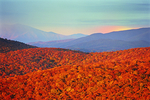 山