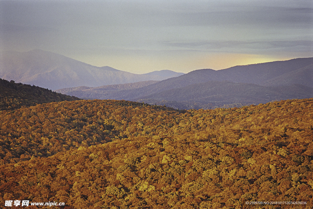 山