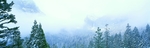 山