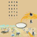 大米