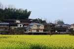 乡村风光