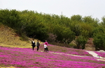 旅游风光
