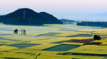 旅游景点