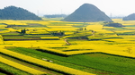 乡村花园