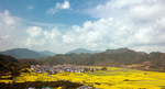 金色村庄