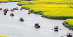 花海赛船