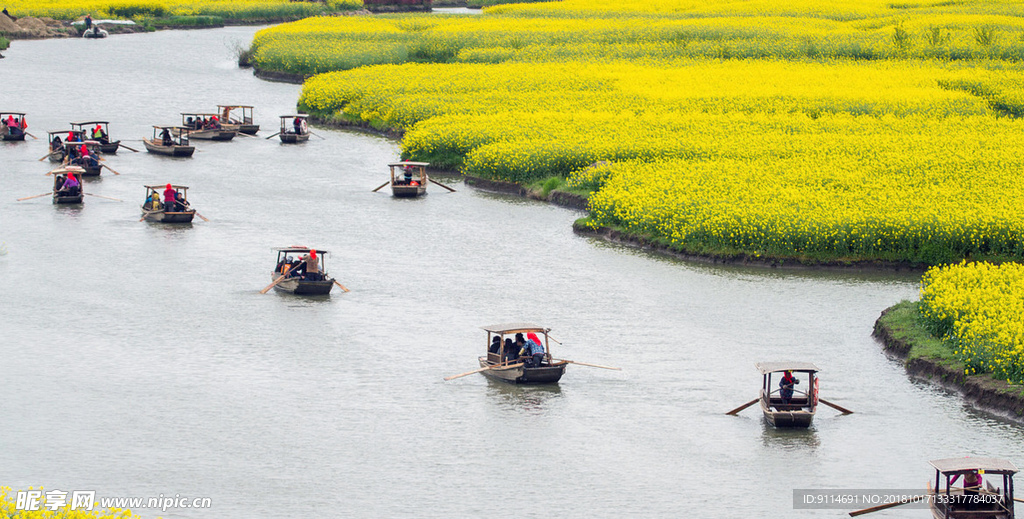 花海赛船