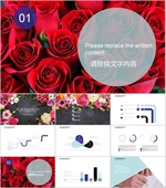 PPT模板  总结PPT 计划