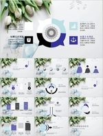 PPT模板  总结PPT 计划