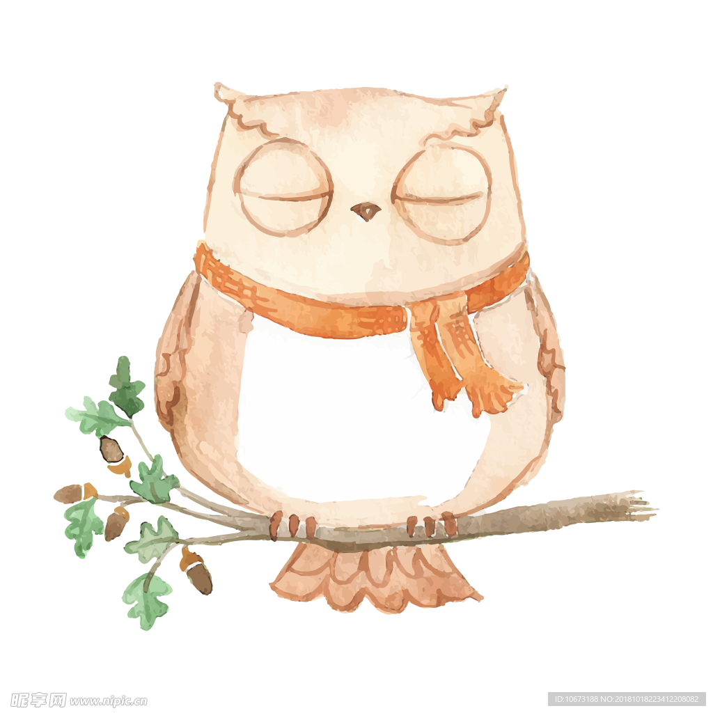卡通猫头鹰