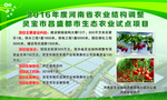 农业结构调整试点项目