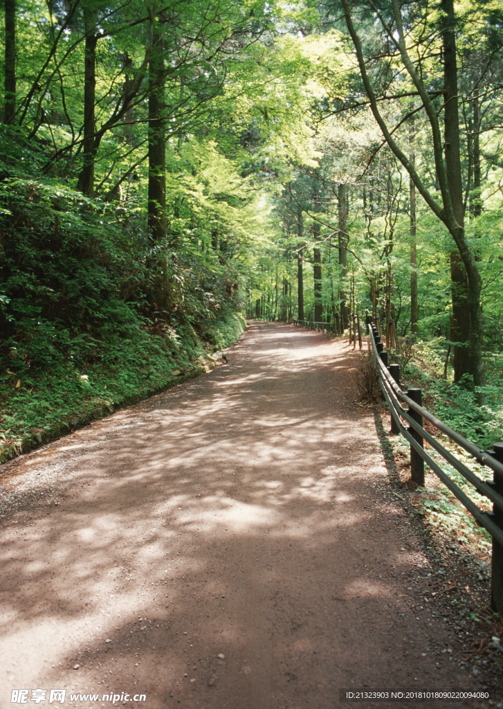山路