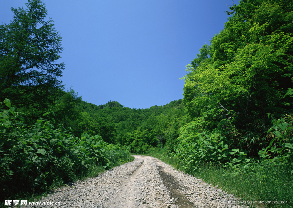 山路
