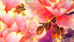 AE牡丹花背景AE模版AE素材