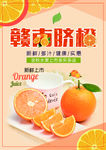 脐橙