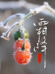 霜降背景