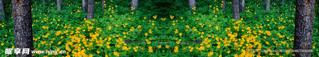 森林花海