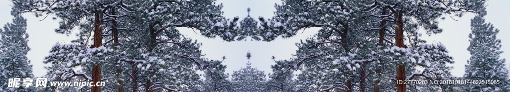 雪景