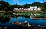 诸葛八卦村