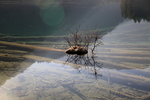 湖水