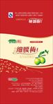 青梅梅子包装