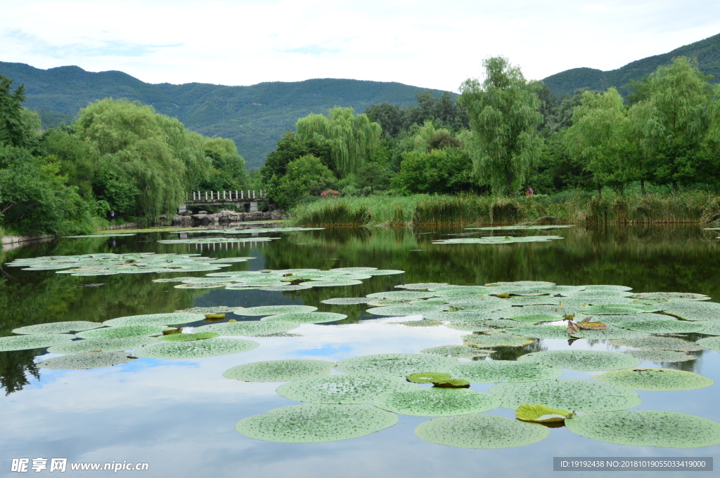 植物园风景