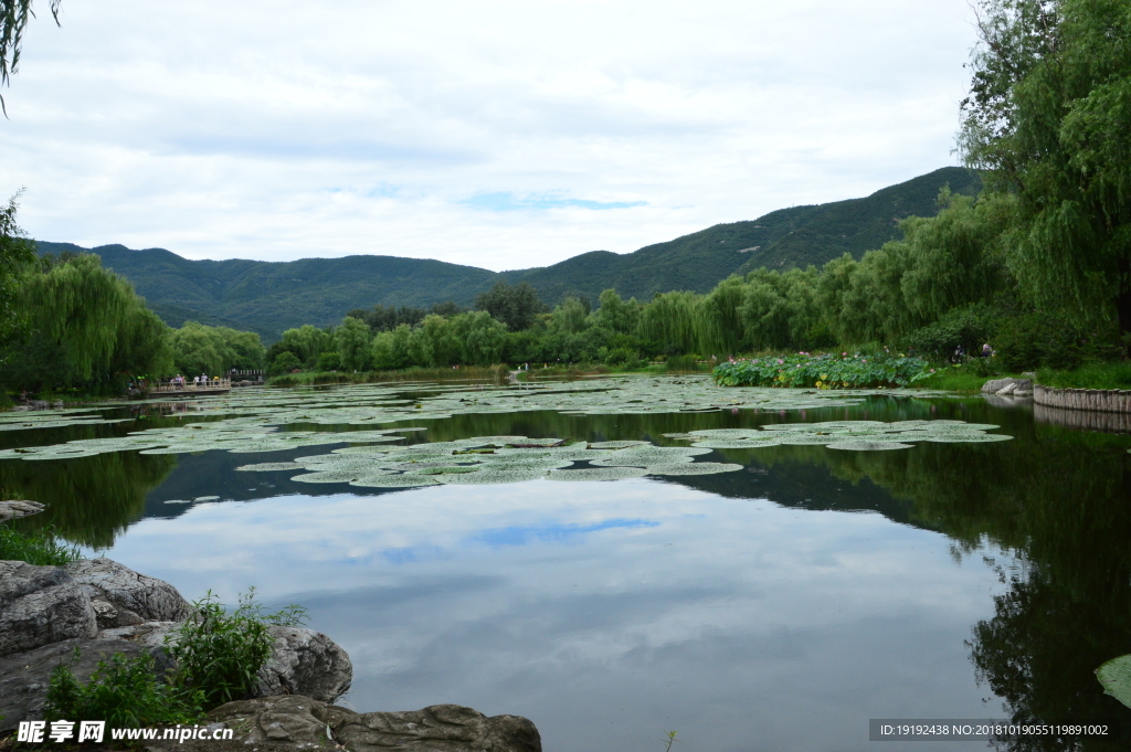 植物园风景