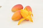 小金龙芒果  小金龙 芒果