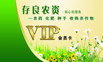 绿金