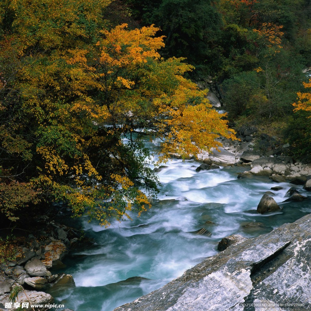 小溪水