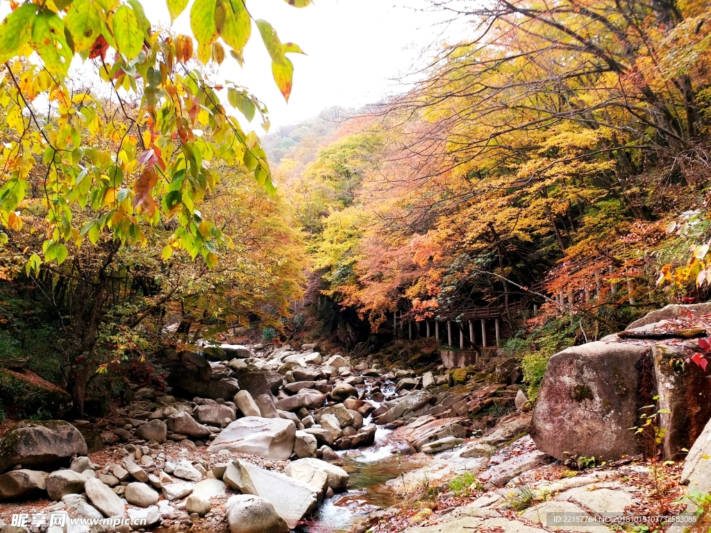 光雾山
