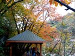 光雾山