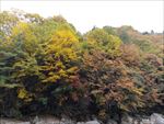 光雾山