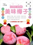梅子海报