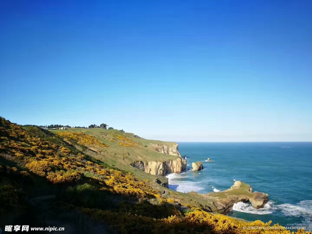 新西兰海景