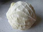 白菜 蔬菜 果蔬 卷心菜