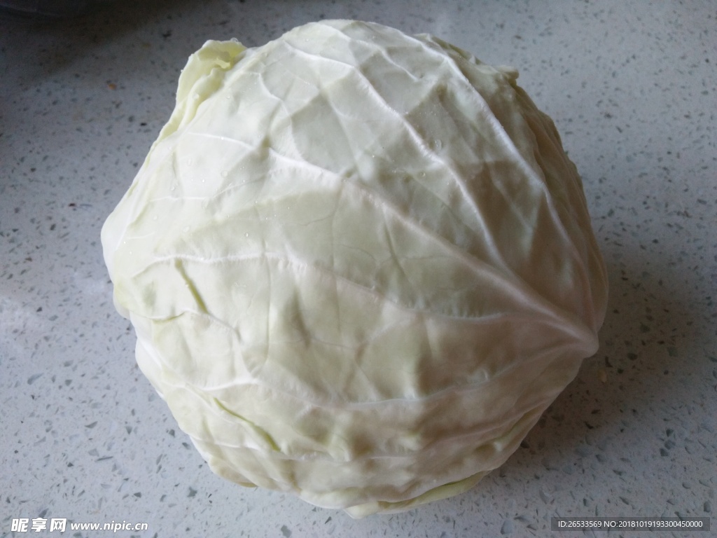 白菜 蔬菜 果蔬 卷心菜