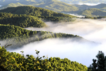 云雾青山云海风景