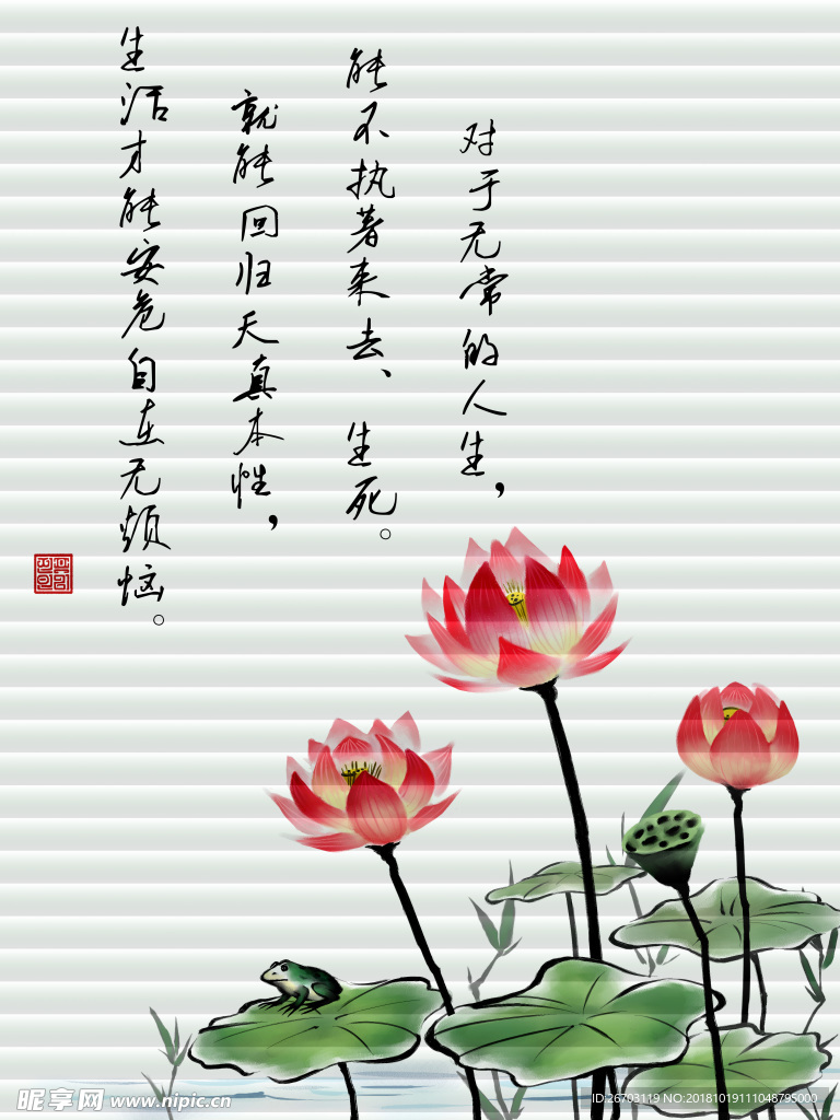 荷花