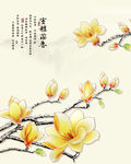 玉兰