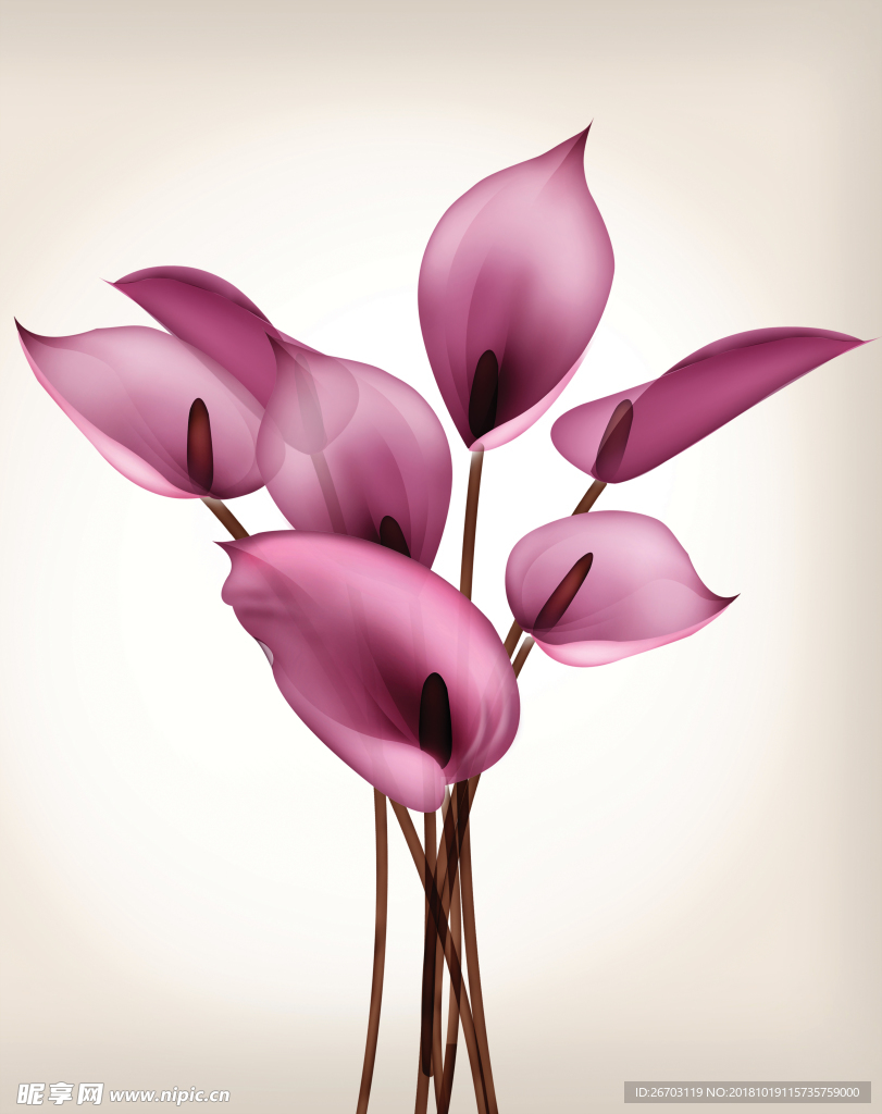 花纹